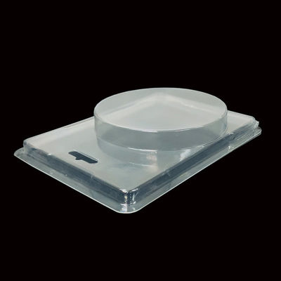 Imballaggio in plastica trasparente con cerniera in PET Blister di conchiglia per false unghie ISO9001 approvato